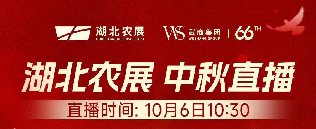 亿万28 - 相信品牌的实力