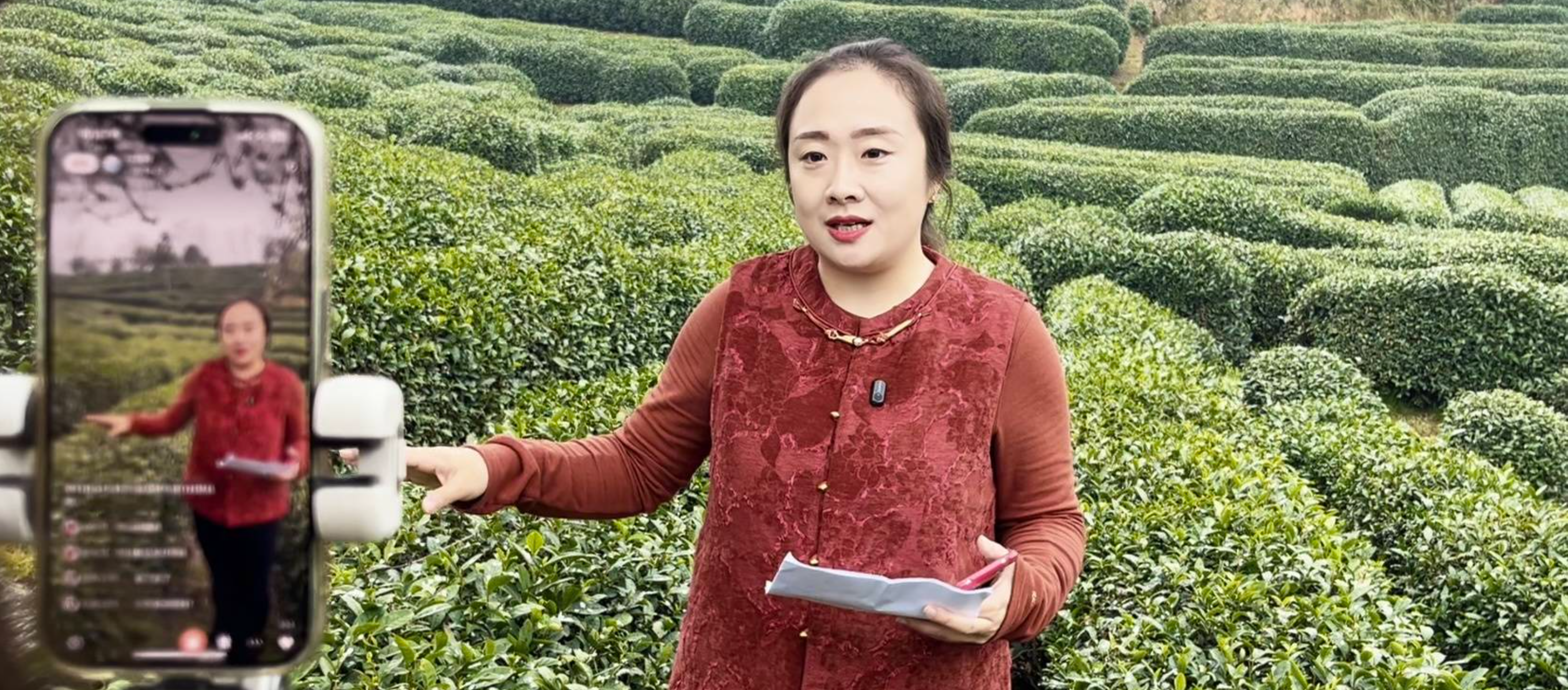 抢抓湖北千亿茶产业新机遇 武商集团竞逐茶叶赛道