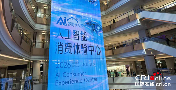 未来家长啥样？全国首个“AI家·人工智能消费体验中心”落地湖北